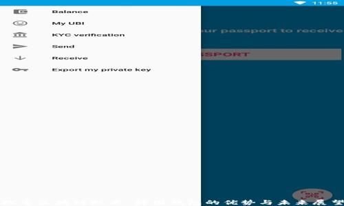 
探索区块链技术：韩国钱包的优势与未来展望