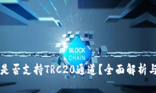 tpWallet是否支持TRC20通道？全面解析与使用指南