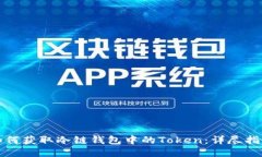 如何获取冷链钱包中的Token：详尽指南