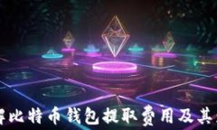 深入了解比特币钱包提取费用及其影响因素