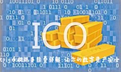 tpWalletpig币提现手续费详解：让你的数字资产安全