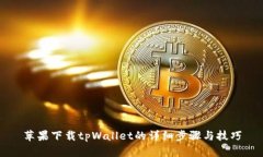 苹果下载tpWallet的详细步骤与技巧