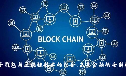 电子钱包与区块链技术的结合：未来金融的全新视角