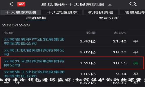 比特币冷钱包遭遇盗窃：如何保护你的数字资产