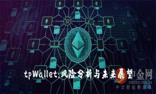 tpWallet：风险分析与未来展望