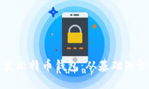 如何自己开发比特币钱包：从基础知识到实践指南