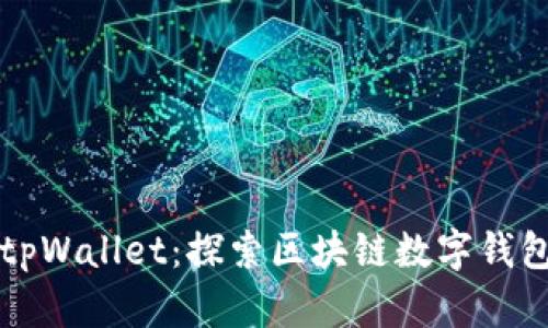 付盼的tpWallet：探索区块链数字钱包的未来