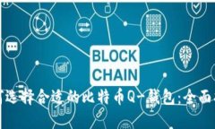 如何选择合适的比特币Q-钱包：全面指南