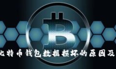 biao-ti比特币钱包数据损坏的原因及修复方法