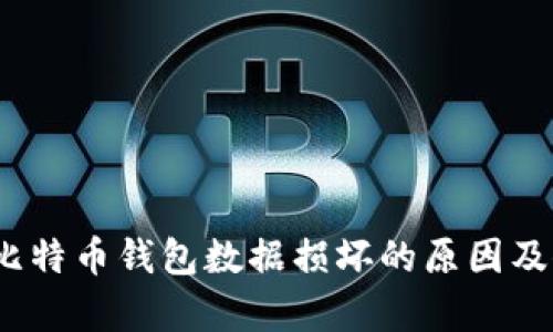 biao-ti比特币钱包数据损坏的原因及修复方法