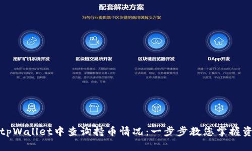 如何在tpWallet中查询持币情况：一步步教您掌握资产管理