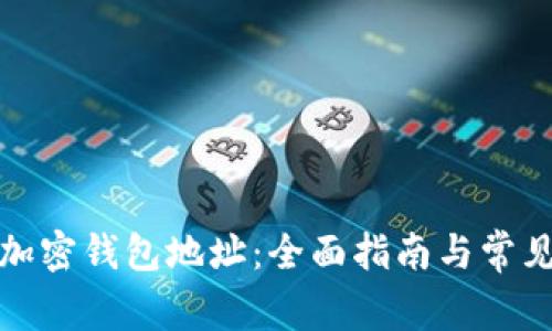 如何查看加密钱包地址：全面指南与常见问题解答