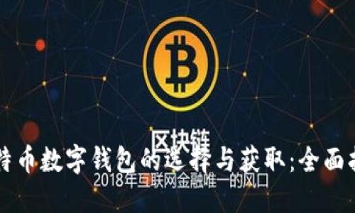 比特币数字钱包的选择与获取：全面指南