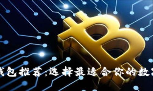 中国数字钱包推荐：选择最适合你的数字支付工具