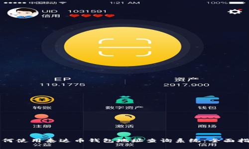 如何使用泰达币钱包地址查询系统：全面指南