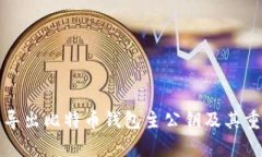 如何安全导出比特币钱包主公钥及其重要性解析