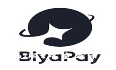 如何在tpWallet中查看币种的买入价