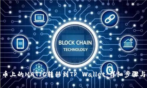 如何将火币上的MATIC转移到TP Wallet：详细步骤与注意事项