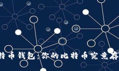 揭秘比特币钱包：你的比特币究竟存在哪里？