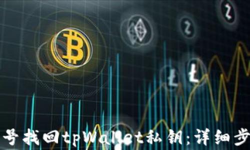 
如何通过手机号找回tpWallet私钥：详细步骤与注意事项
