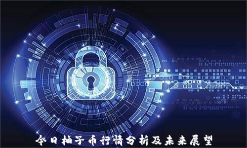 
今日柚子币行情分析及未来展望