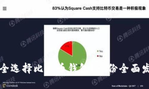 如何安全选择比特币钱包？一份全面发展指南