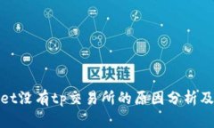 tpWallet没有tp交易所的原因