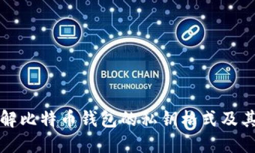 深入了解比特币钱包的私钥格式及其安全性